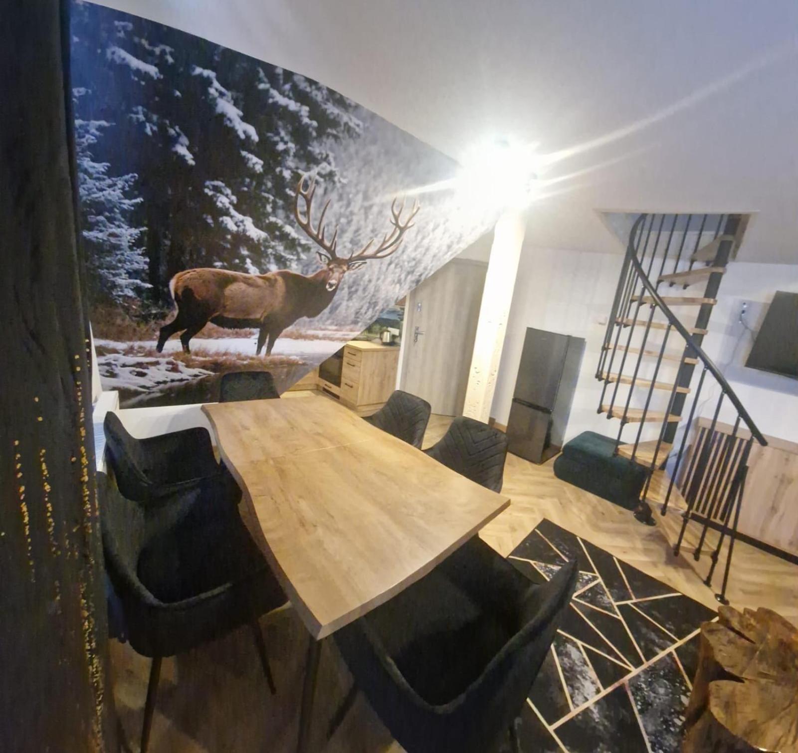 Studia I Wierchy * Zakopane